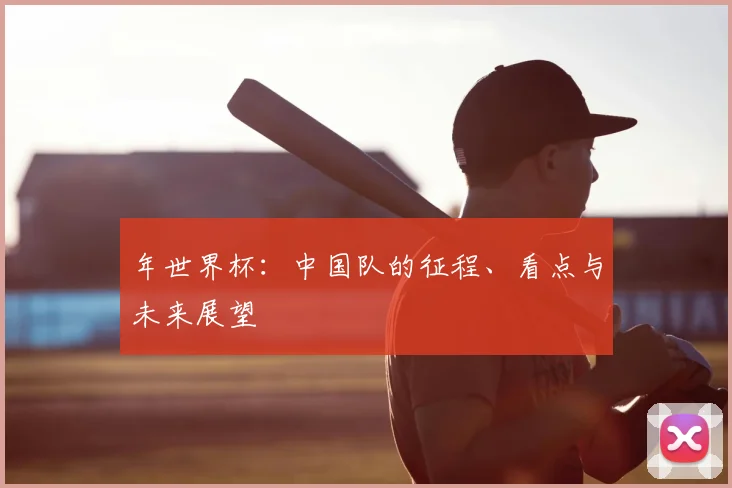 年世界杯：中国队的征程、看点与未来展望